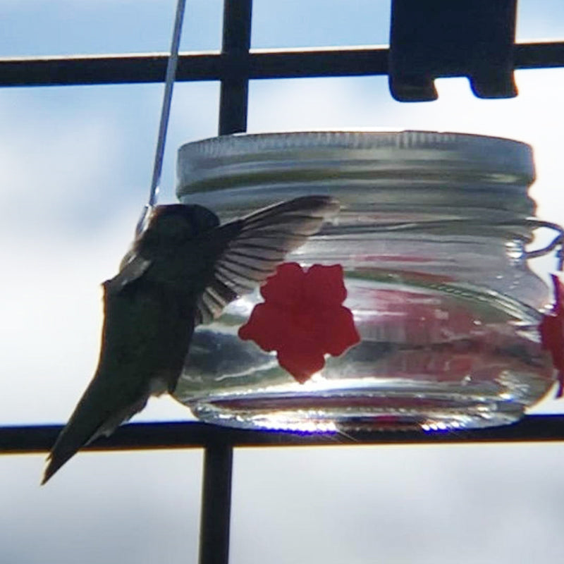 BowLift | Beautiful Mason Jar Hummingbird Feeder