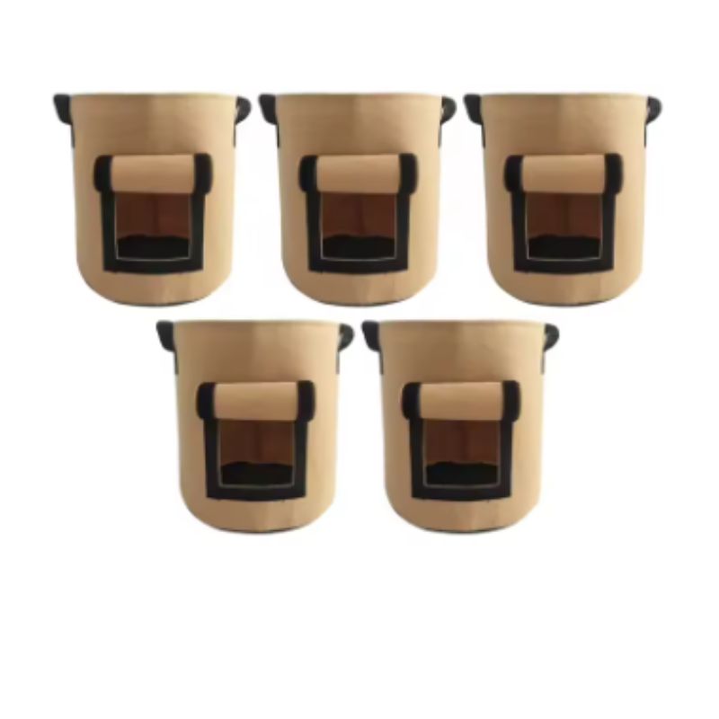 BowLift | RootPeek