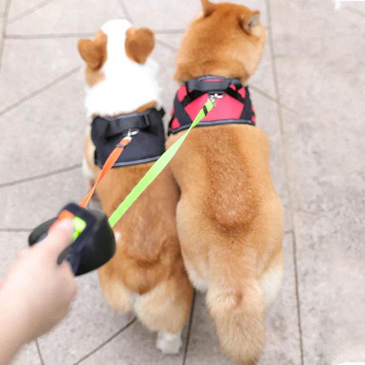 DuoPaw - Practical Retractable Dog Leash with Knot-Free System Bowlift