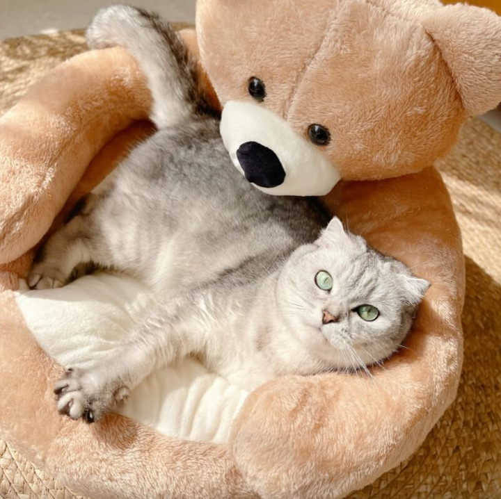 Samiya – Luxury Plush Cat Bed for Sleeping Comfort Bowlift