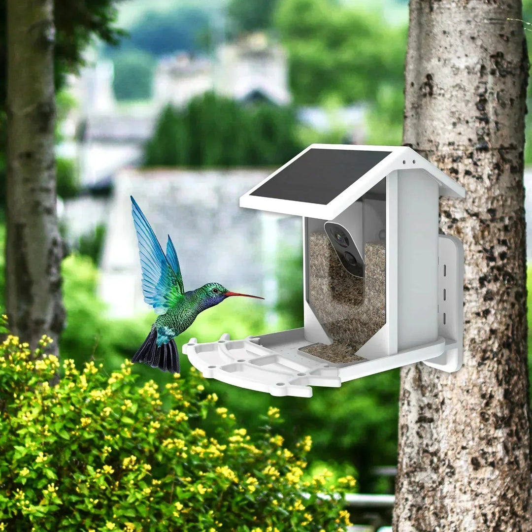 BowLift | Smart Solar Bird Feeder with Bird Recognition – Weatherproof Garden Feeder