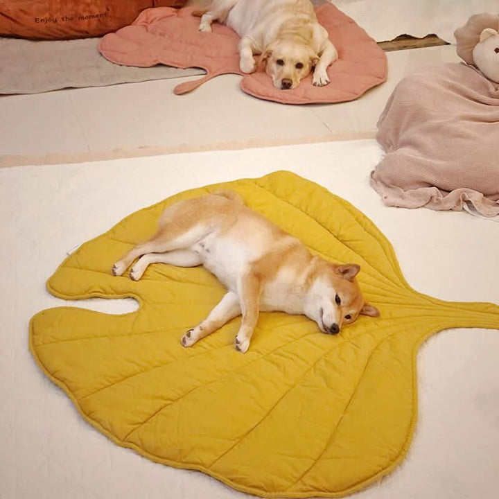 BowLift | BladNest Dog Blanket – Comfortable Leaf-shaped Blanket made of Cotton and Polyester