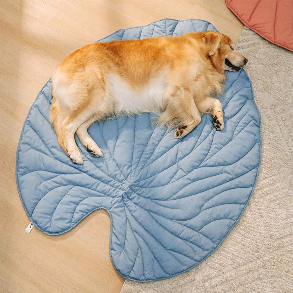 BowLift | BladNest Dog Blanket – Comfortable Leaf-shaped Blanket made of Cotton and Polyester