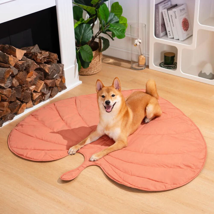 BowLift | BladNest Dog Blanket – Comfortable Leaf-shaped Blanket made of Cotton and Polyester