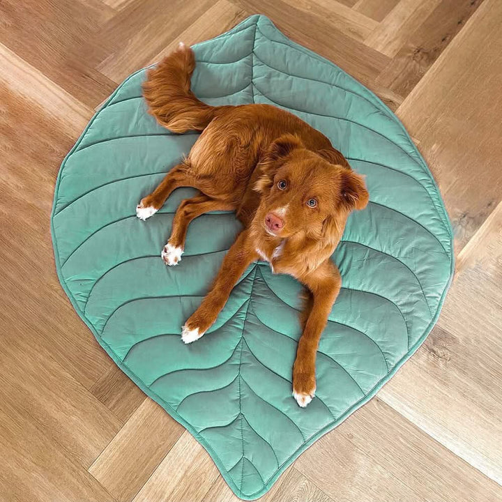 BowLift | LeafNest Dog Bed – Comfortable Leaf-shaped Bed made of Cotton and Polyester