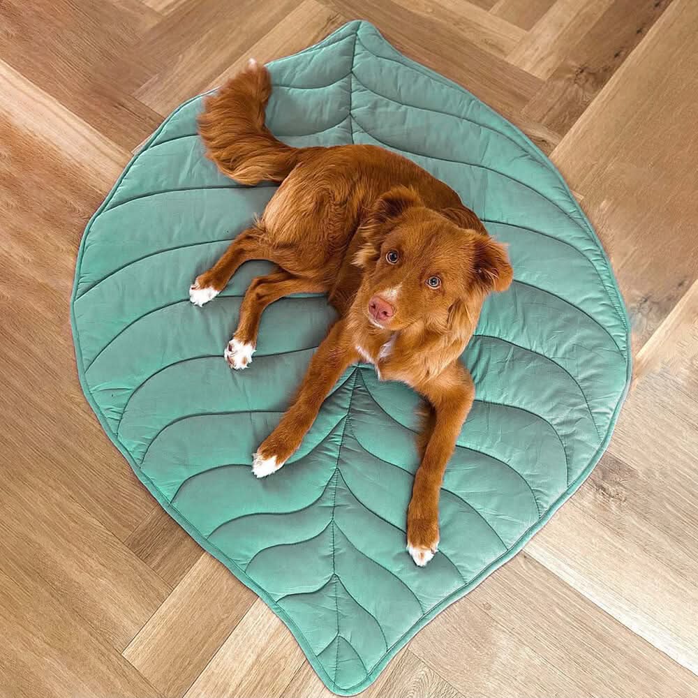 BowLift | LEAFNEST – Leaf-shaped dog blanket for comfort & home style