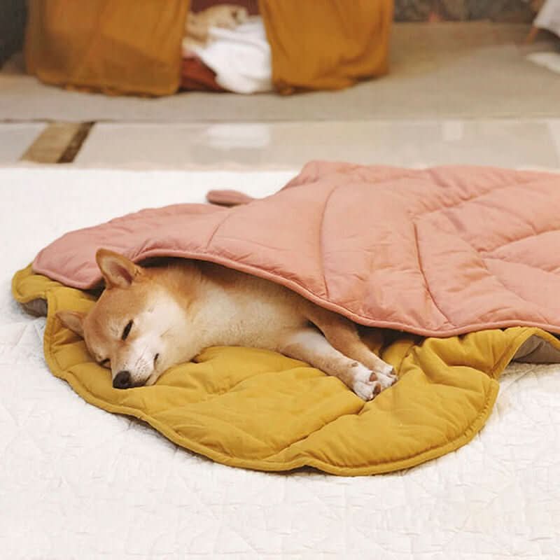 BowLift | BladNest Dog Blanket – Comfortable Leaf-shaped Blanket made of Cotton and Polyester