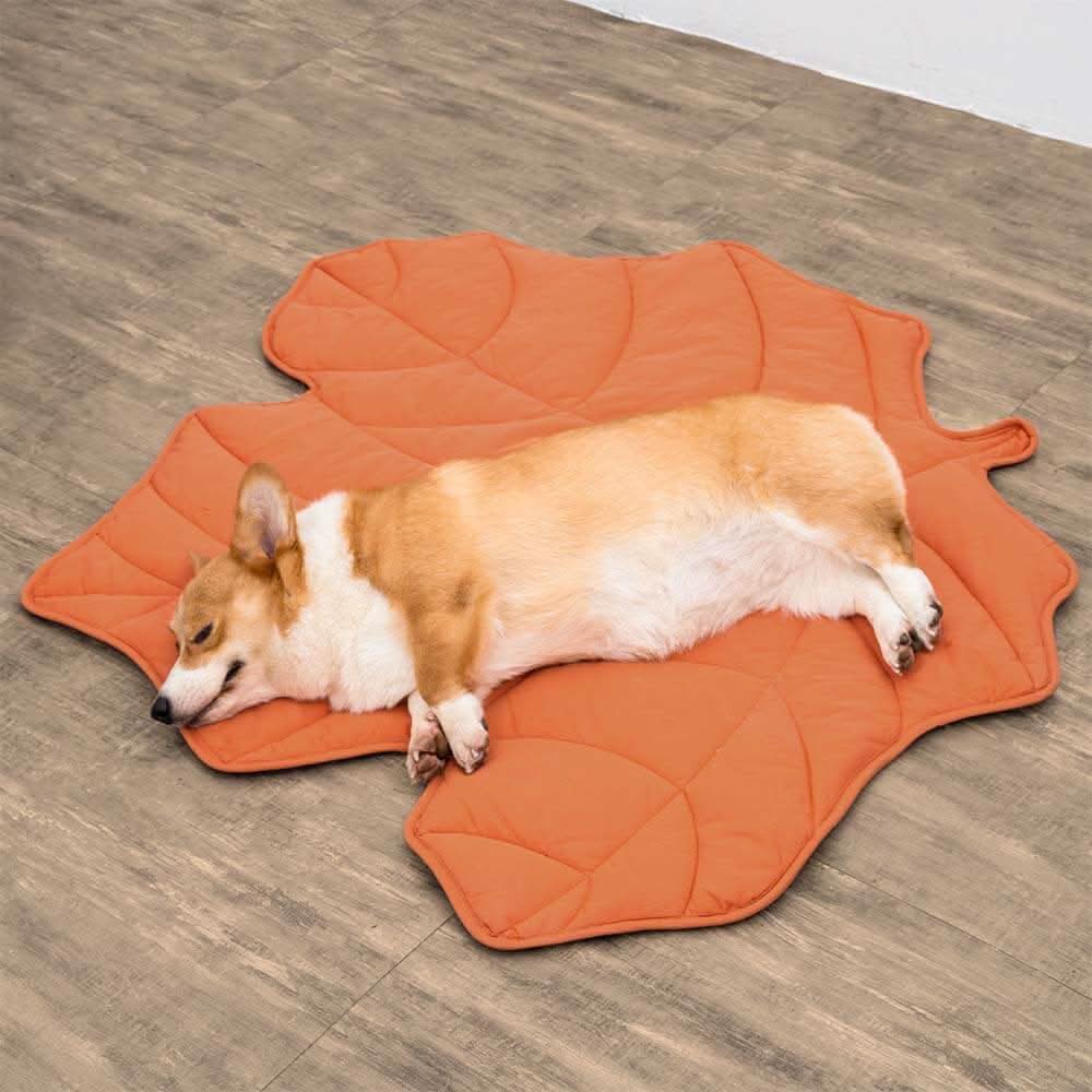 BowLift | Leaf-shaped dog blanket for comfort & home style