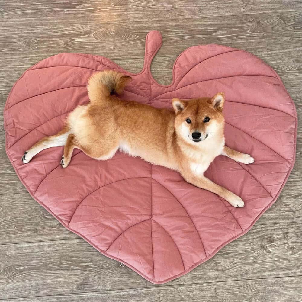 BowLift | BladNest Dog Blanket – Comfortable Leaf-shaped Blanket made of Cotton and Polyester