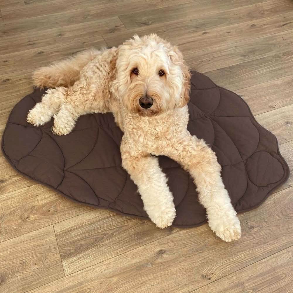 BowLift | Leaf-shaped dog blanket for comfort & home style