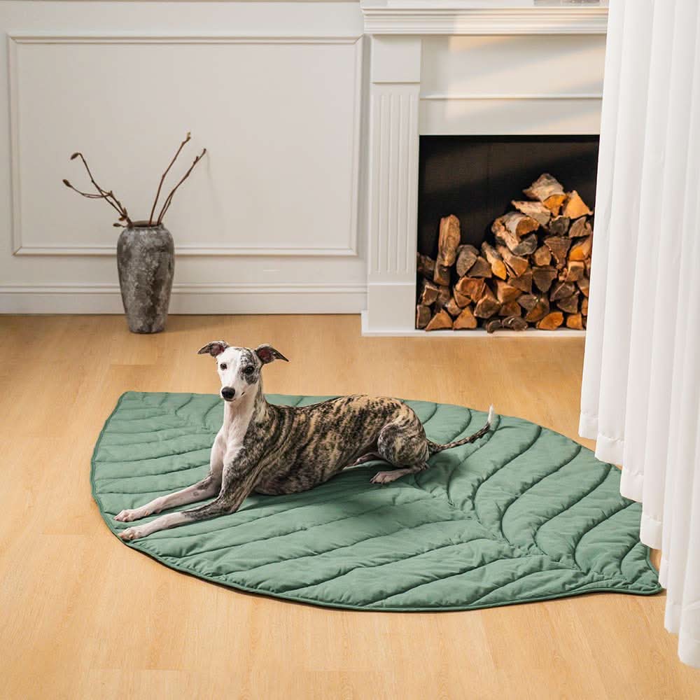 BowLift | BladNest Dog Blanket – Comfortable Leaf-shaped Blanket made of Cotton and Polyester