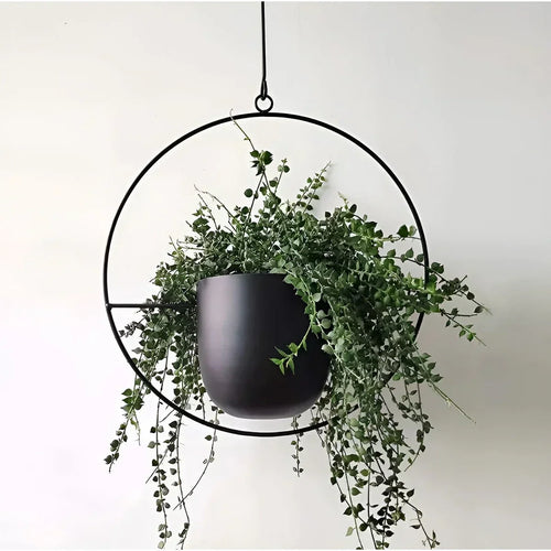 PetalAura - Verdura Oasis Plant Pot Bowlift