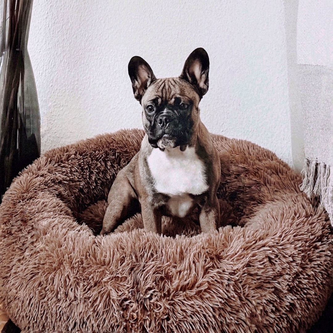 BowLift | FluffyNest Comfort Dog Bed – Orthopedic Plush Sleeping Cushion for Dogs