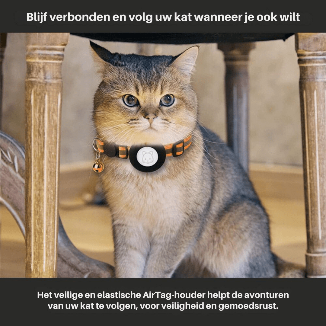 BowLift | GPS Tracker Collar for Safety & Visibility for Cats