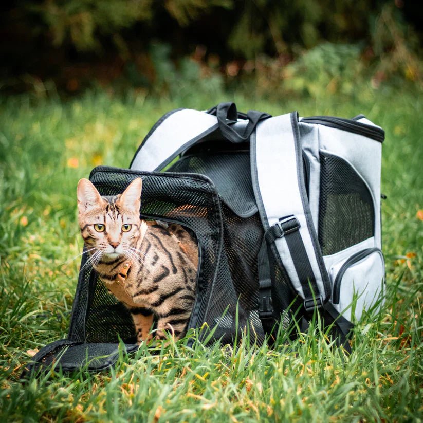 BowLift | Comfortable Cat Backpack with Viewing Window