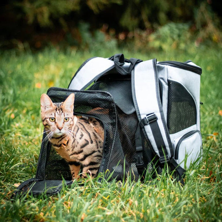 BowLift | Comfortable Cat Backpack with Viewing Window