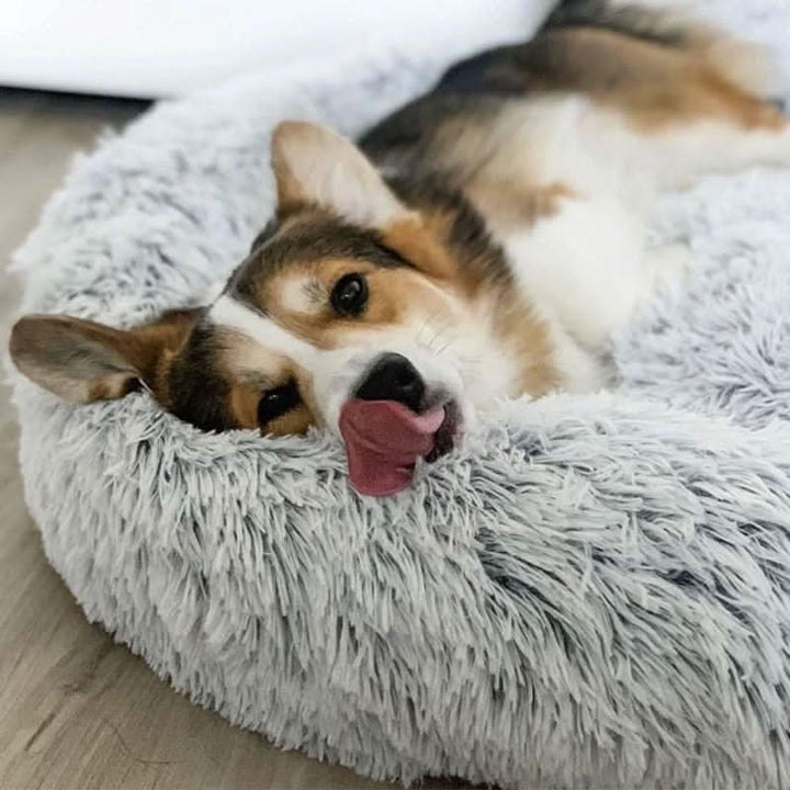 BowLift | Anti-Stress Dog Bed with Soft Faux Fur & Supportive Padding