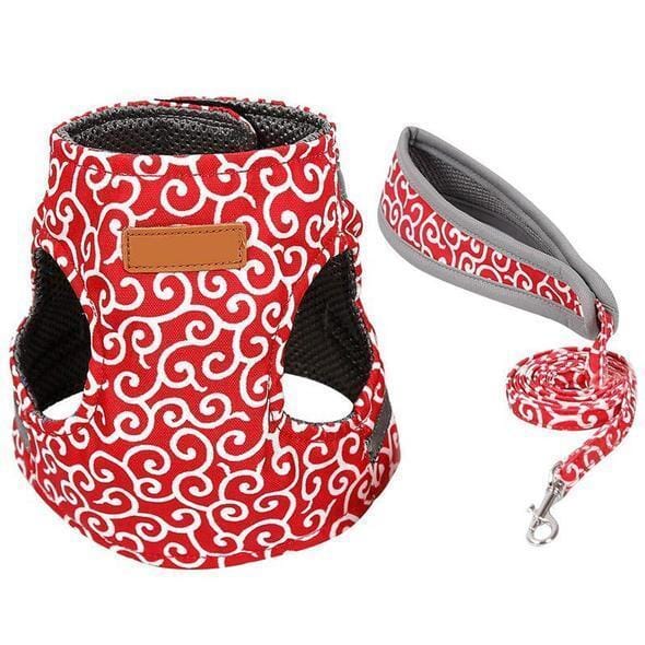 BowLift | Cat vest harness and leash set for walks