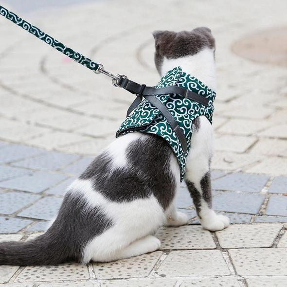 Collar jacket and leash for cat | Bowlift
