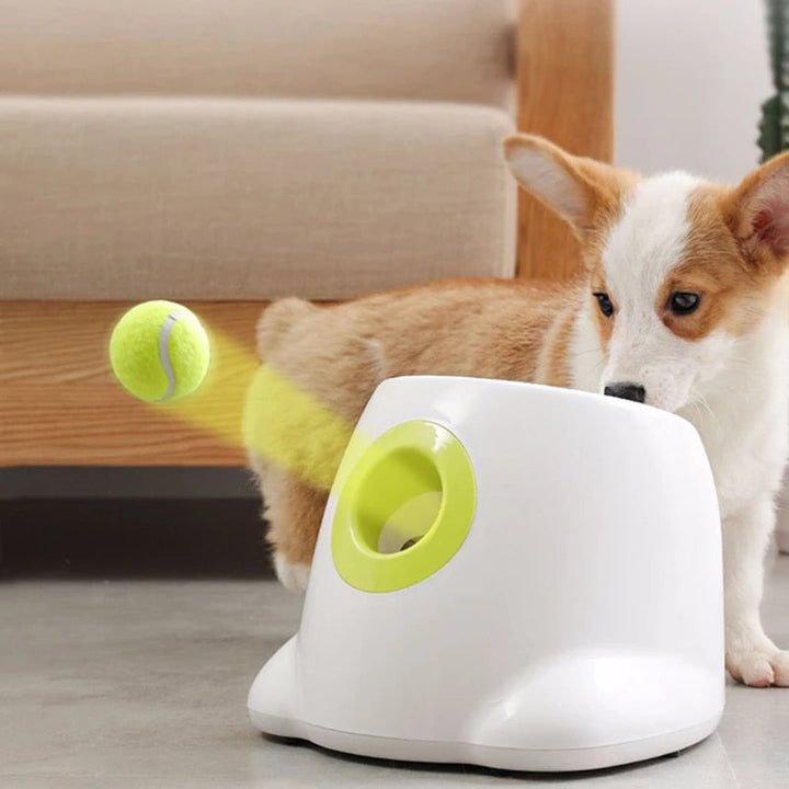 PlayBolt Automatic Ball Launcher for Dogs | Bowlift
