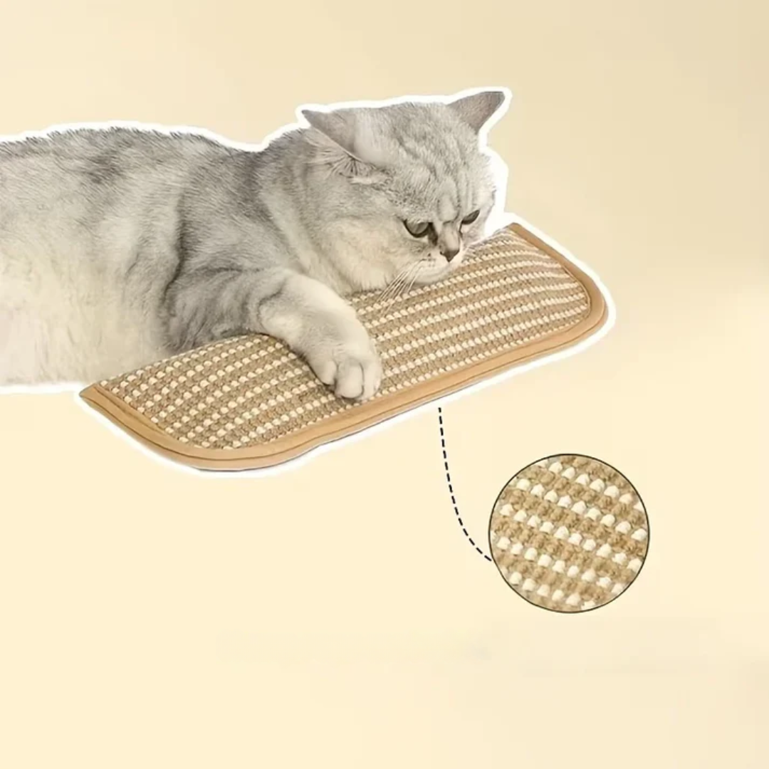 Scratching pillow for cats with catnip durable and sturdy Bowlift