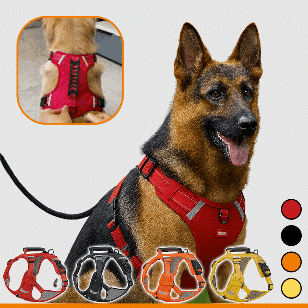 HappyHund Safety Harness Reflective | Bowlift