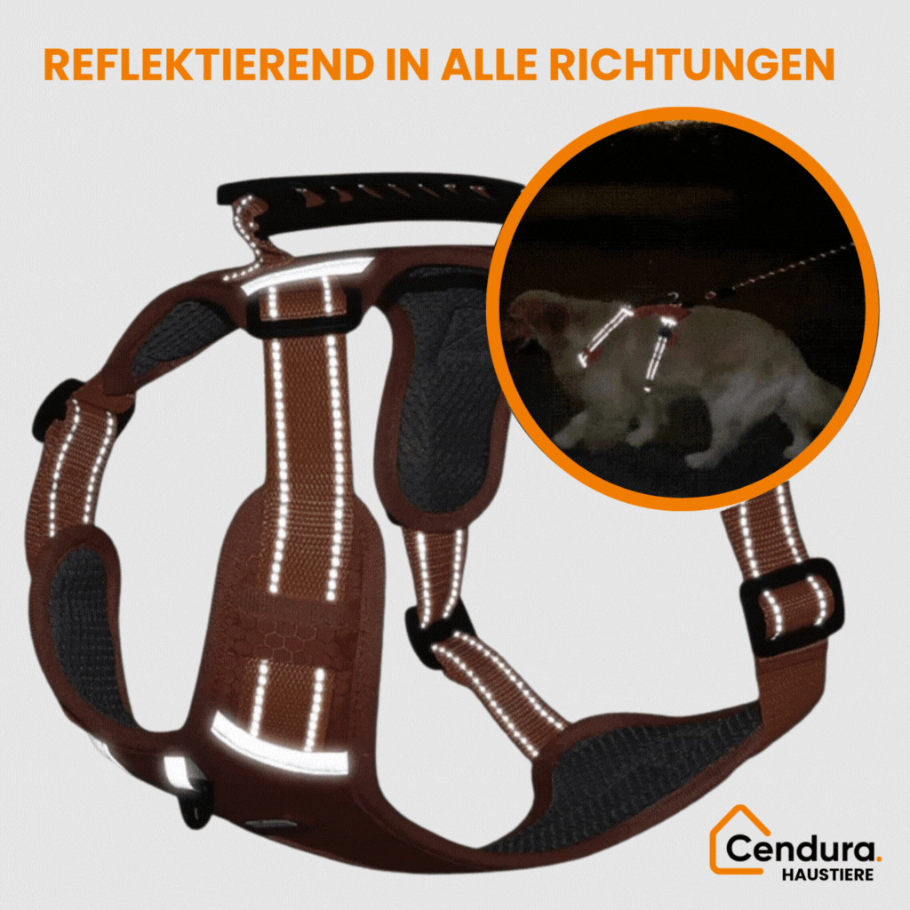 HappyHund Safety Harness Reflective | Bowlift