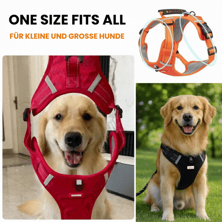 HappyHund Safety Harness Reflective | Bowlift