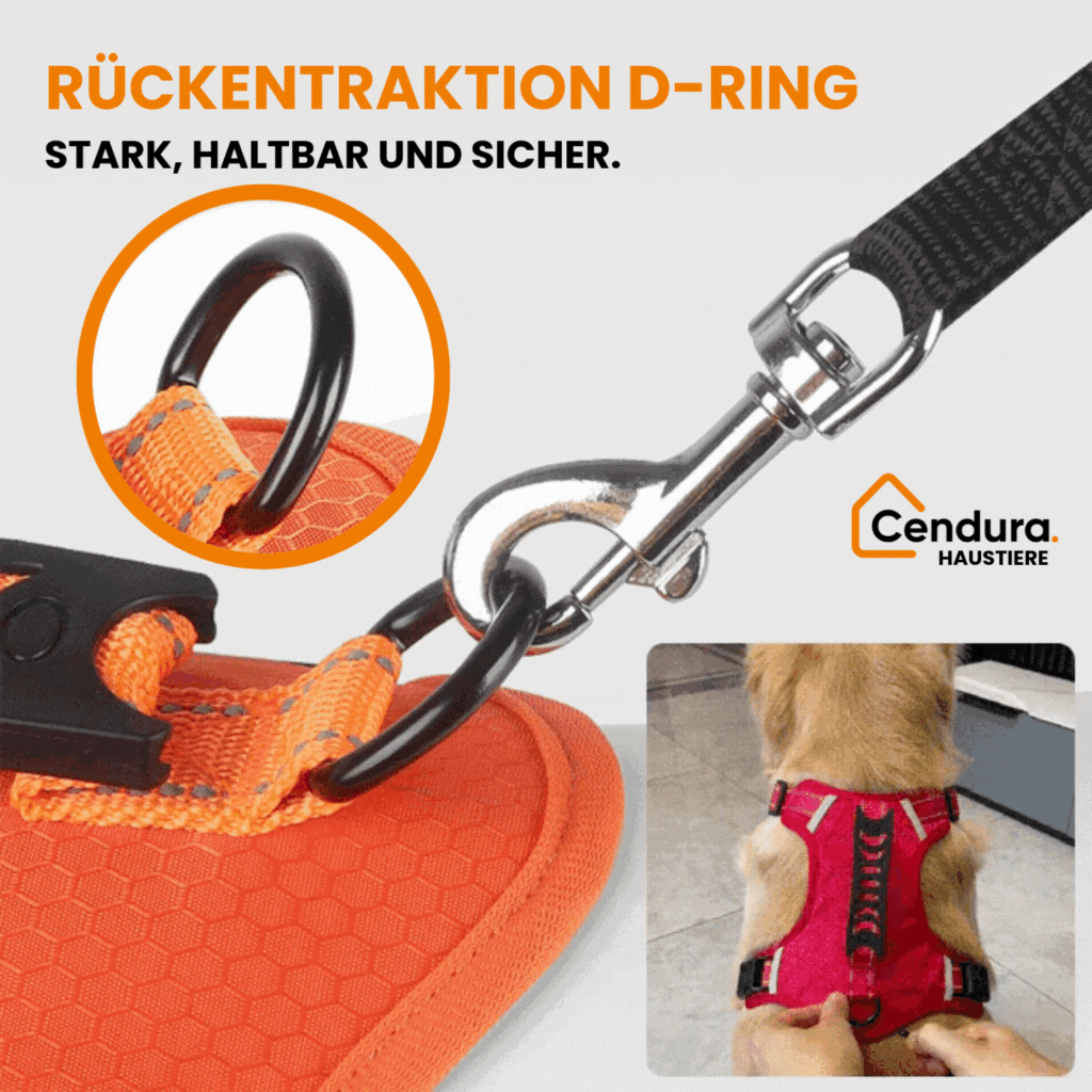 HappyHund Safety Harness Reflective | Bowlift