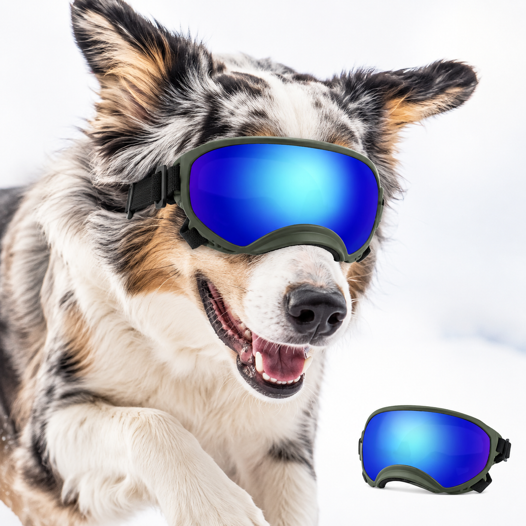 High-performance polarized snow and ski goggles with anti-fog airflow system Bowlift