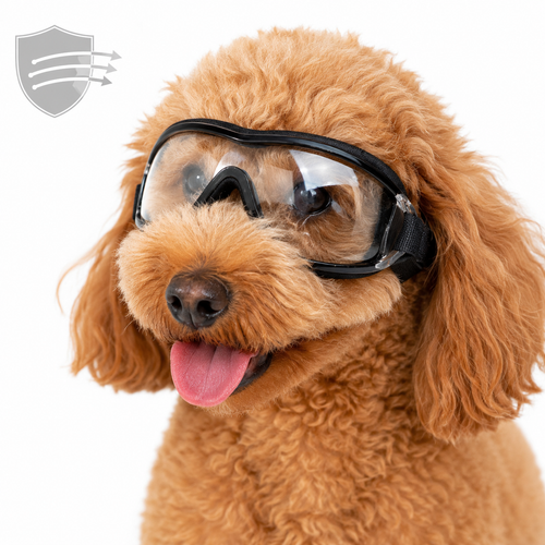 Pet Impact-Resistant Anti-Fog Motorcycle and Ski Protective Goggles Bowlift
