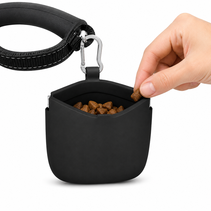 Silicone Dog Treat Pouch Bowlift