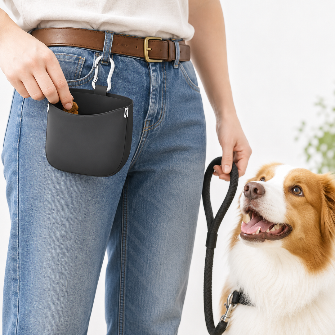 Silicone hanging dog treat pouch with metal carabiner clip Bowlift