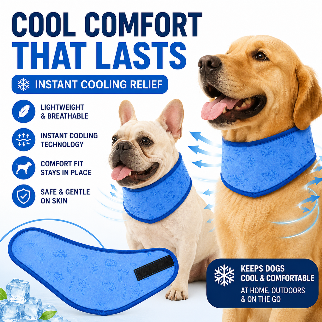 Pet Cooling Collar Bowlift