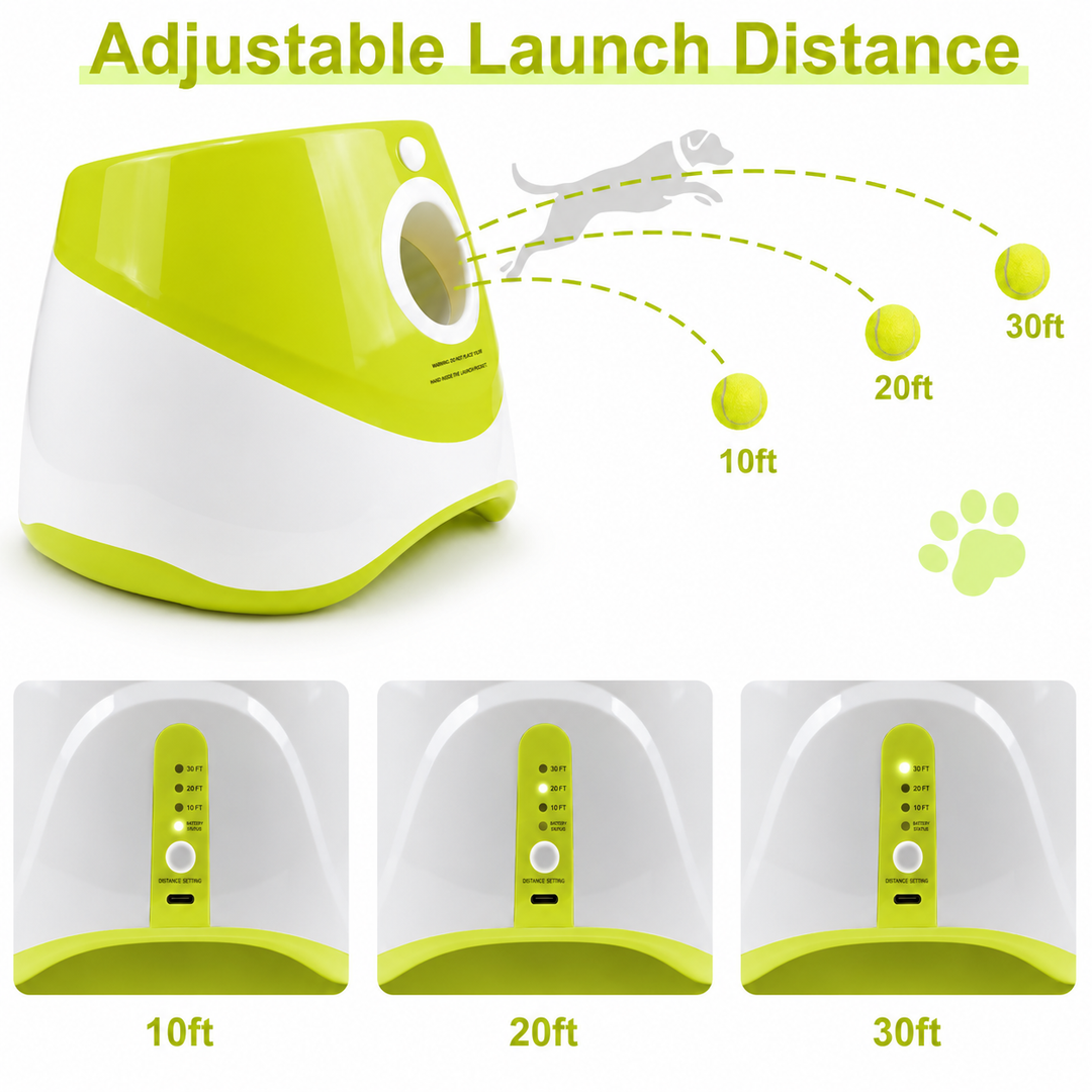 PlayBolt Automatic Ball Launcher for Dogs | Bowlift