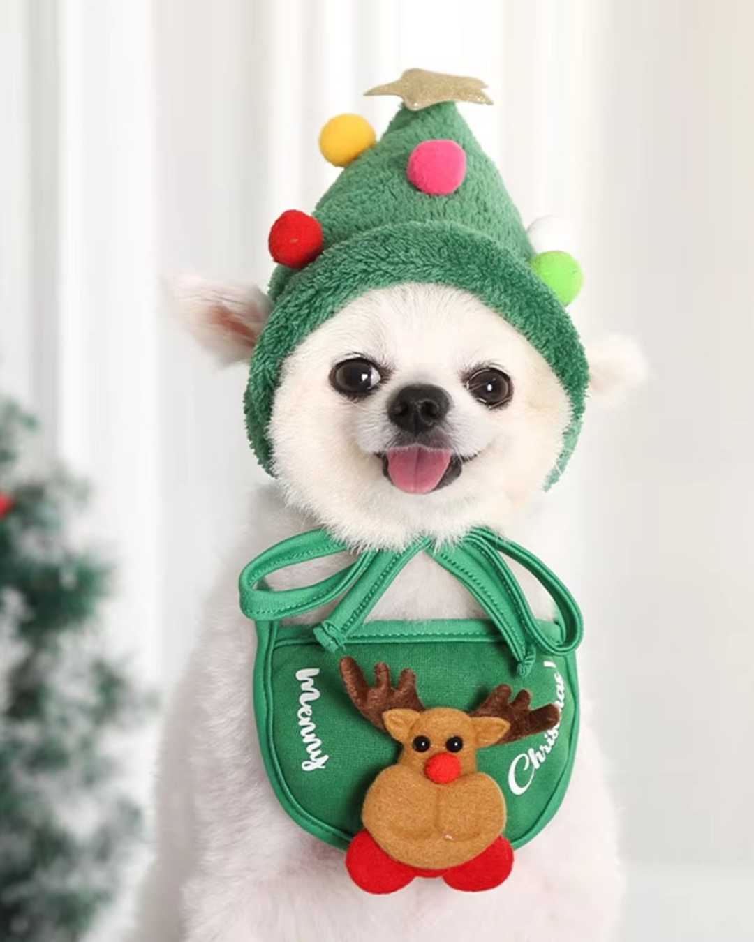 Christmas outfits for dogs Bowlift
