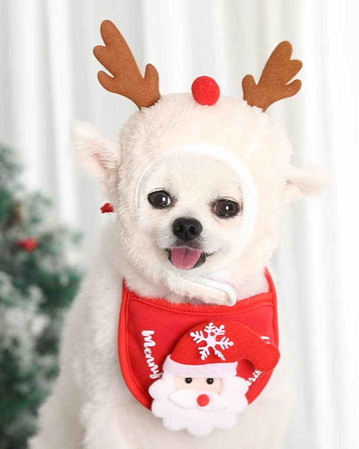 Christmas outfits for dogs Bowlift