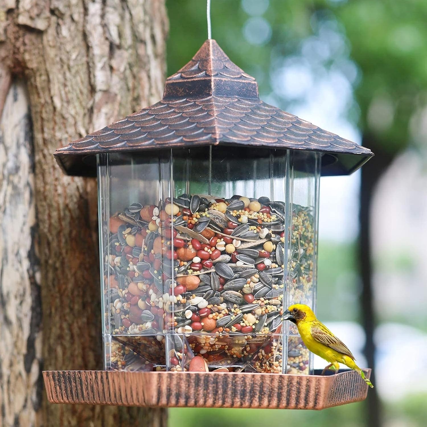 BowLift | Bird Feeder Hanging Copper Roof Outdoor
