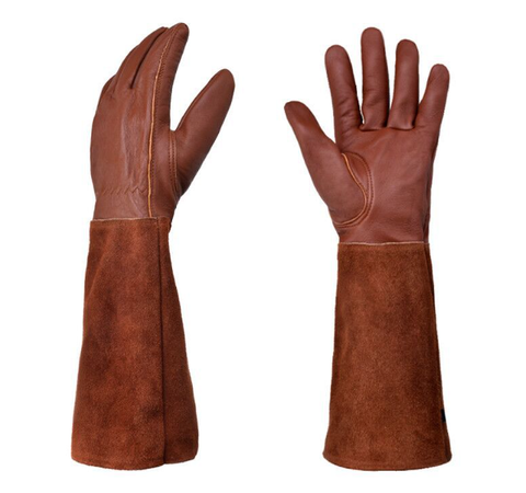 ThornGuard — Protect your hands to love every rose painlessly | Bowlift