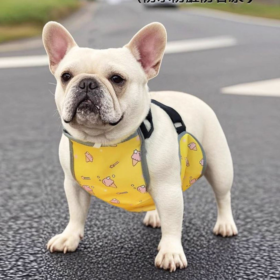 CooLie Frenchie Cooling Vest – Summer Belly Protection Comfort | Bowlift