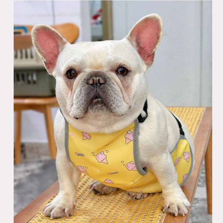 CooLie Frenchie Cooling Vest – Summer Belly Protection Comfort | Bowlift