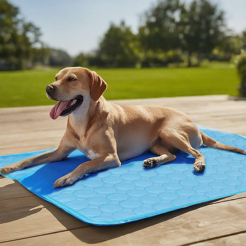 BowLift | Self-Cooling Mat for Quadrupeds Perfect for Hot Summer