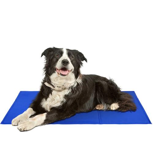 BowLift | FrescuraPet Cooling Mat for Dogs & Cats | Self-Cooling & Joint-Saving | Foldable & Portable | 5 Sizes | Blue