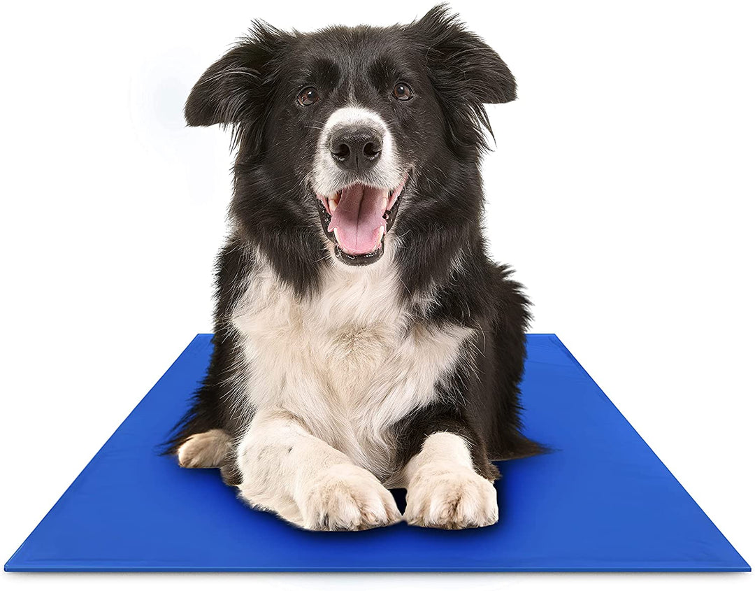 BowLift | FrescuraPet Cooling Mat for Dogs & Cats | Self-Cooling & Joint-Saving | Foldable & Portable | 5 Sizes | Blue