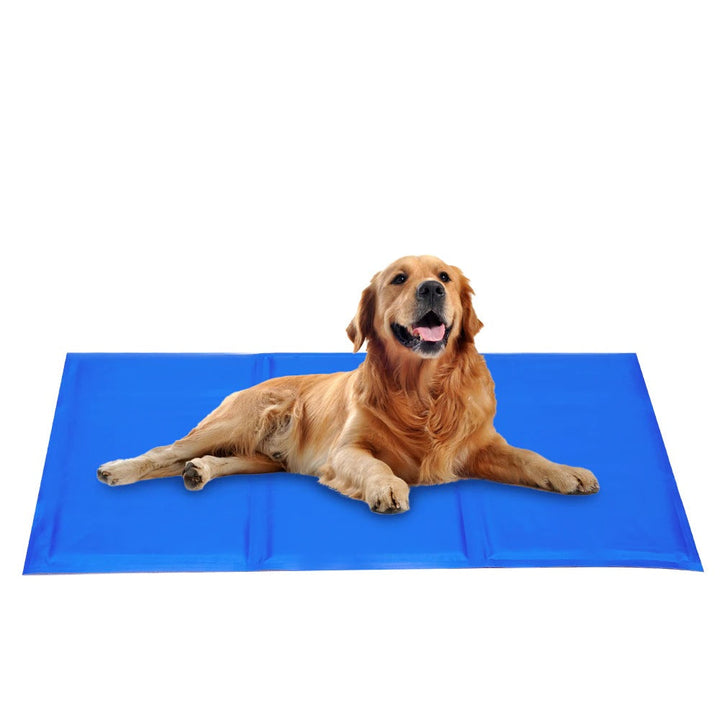 BowLift | FrescuraPet Cooling Mat for Dogs & Cats | Self-Cooling & Joint-Saving | Foldable & Portable | 5 Sizes | Blue