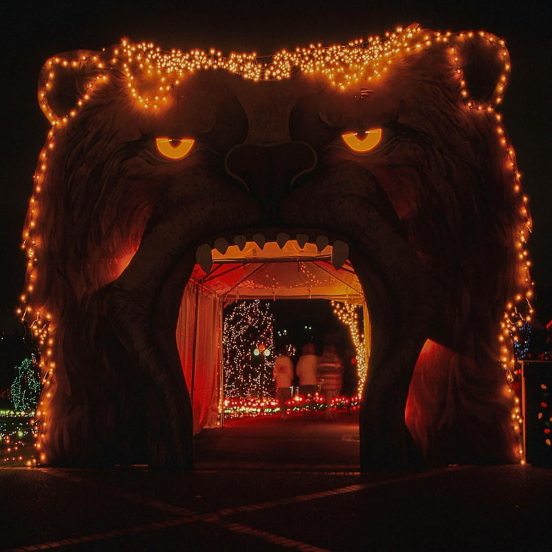 BowLift | Lamps for curtains with modes and waterproof design