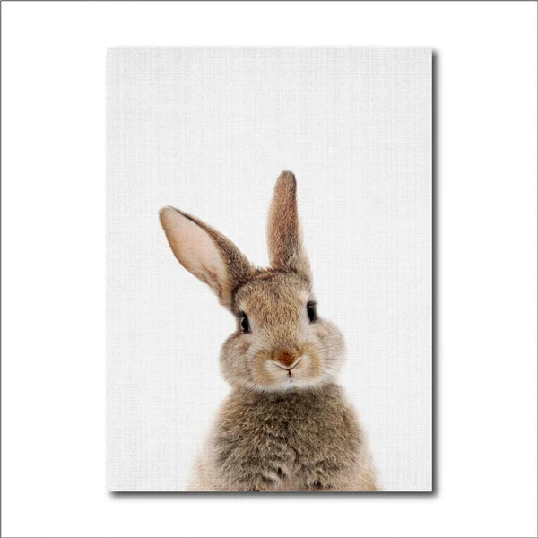 Cute Bunny Rabbit Photoshoot Poster Wall Art Fine Art Canvas Prints Baby Animal Pictures For Nursery Room Children's Room Wall Decor | Bowlift