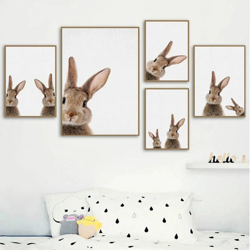 Cute Bunny Rabbit Photoshoot Poster Wall Art Fine Art Canvas Prints Baby Animal Pictures For Nursery Room Children's Room Wall Decor | Bowlift