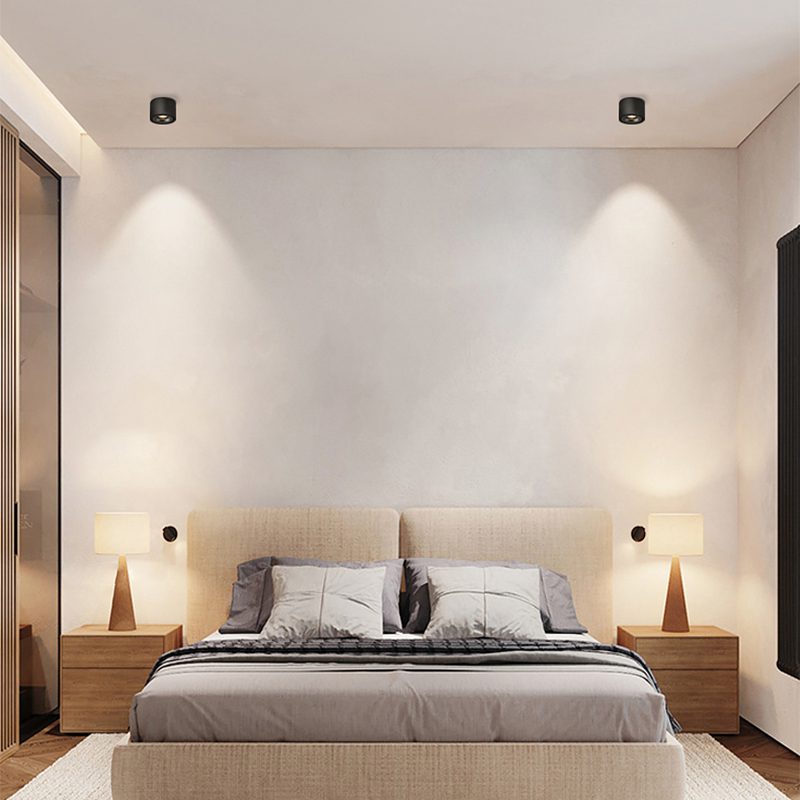 BowLift | Adjustable Cylinder Built-in LED Ceiling Lamp