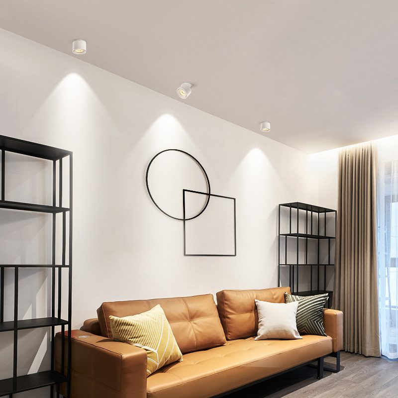 BowLift | Adjustable Cylinder Built-in LED Ceiling Lamp